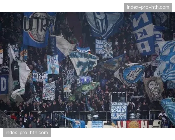 沙尔克04主场改造计划获批，将增加座椅宽度以提升观赛体验