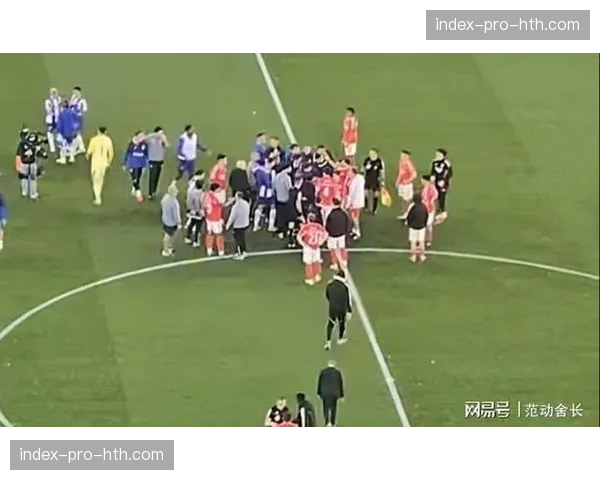 现场报道：球迷闯入赛场导致比赛中断五分钟，已被安保带离