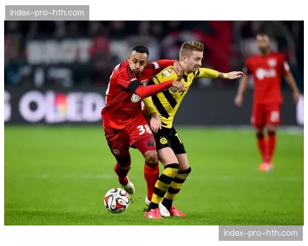 赫尔穆特-柯尼希体育馆后方空地选定，多特蒙德新体育馆规划启动